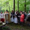 Allgemeine Bilder